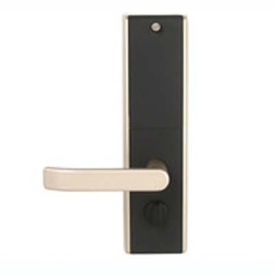S220 Cheap Gold Biometric Fingerprint Door Lock