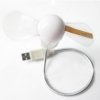 Usb Led fan with Programmable cd for customised message