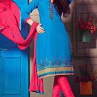 Navy Blue & Red Embroidered Salwar Suit
