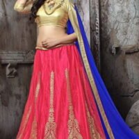 Pink & Golden Embroidered Lehengas Choli