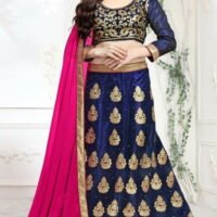 Blue & Pink Embroidered Lehengas Choli (Copy) (Copy)