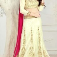 Golden Embroidered Lehengas Choli