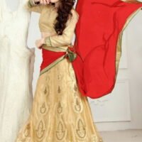 Red & Golden Embroidered Lehengas Choli