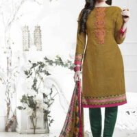 Mhendi & Green Semi Lawn Embroidered Salwar Suit