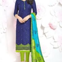Navy Blue & Green Cotton Embroidered Salwar Suit