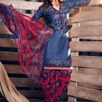 Navy Blue and Red Printed  Embroidered Salwar Suit