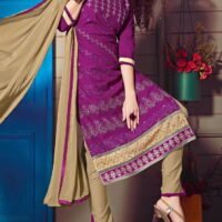 Parpule & Golden Embroidered Salwar Suit