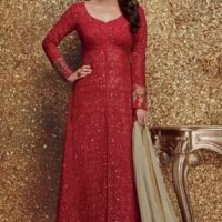 Red & Nazrling Dupatta Heavy Gerogette Embroidered Salwar Suit