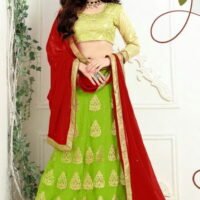 Green & Red Embroidered Lehengas Choli