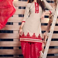 Creem & Red Printed Embroidered Salwar Suit