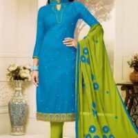 Sky Blue & Green  Pure Cotton Embroidered Salwar Suit