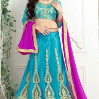 Sky Blue & Pink Embroidered Lehengas Choli