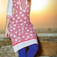 Blue & White Cotton Embroidered Salwar Suit